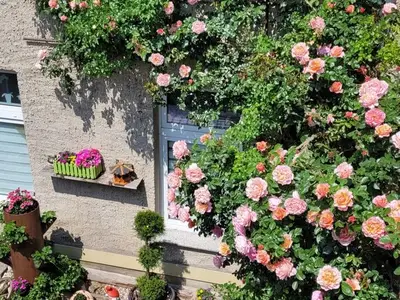 Ferienwohnung für 4 Personen (80 m²) in Naumburg 2/10