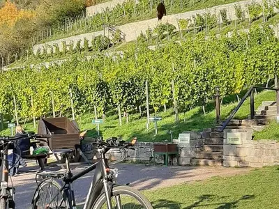 Ferienwohnung für 4 Personen (55 m²) in Naumburg (Saale) 7/10