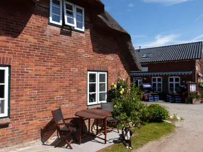 Terrasse der Ferienwohnung Green Waanang in Nebel auf Amrum