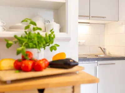 Küchezeile in der Ferienwohnung Hortensie