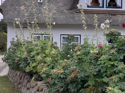 Ferienwohnung für 2 Personen (27 m²) in Nebel 3/10