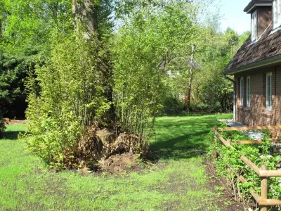 Ferienwohnung für 2 Personen (45 m²) in Nebel 8/10