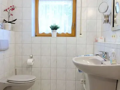Ferienwohnung für 3 Personen (70 m²) in Neckargemünd 10/10