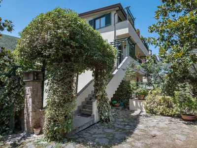 house house