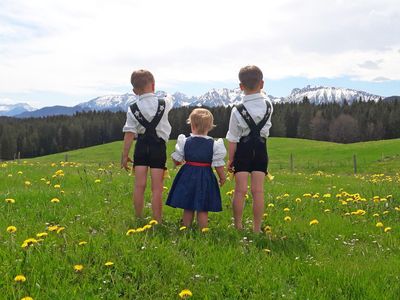 Frühling in Lachen