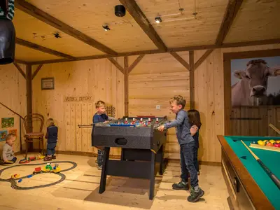 Spiele-Keller Veiterhof