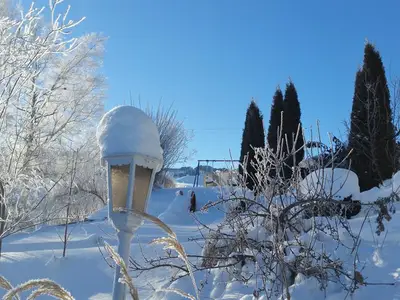 Vorgarten im Winter