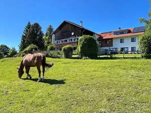 Ferienwohnung für 6 Personen (70 m²) in Nesselwang