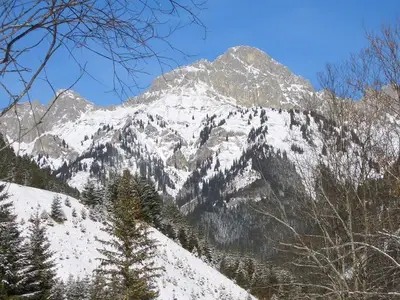 Ferienwohnung für 5 Personen (75 m²) in Nesselwängle 5/10