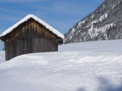 Ferienwohnung für 5 Personen (75 m²) in Nesselwängle 8/10