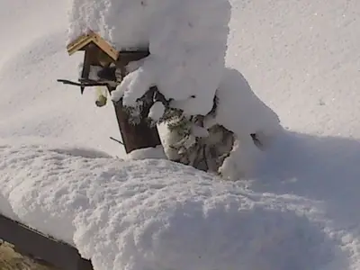 Ferienwohnung für 5 Personen (75 m²) in Nesselwängle 10/10