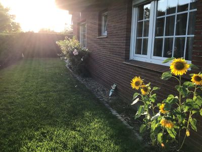 Garten-Sonnenblumen