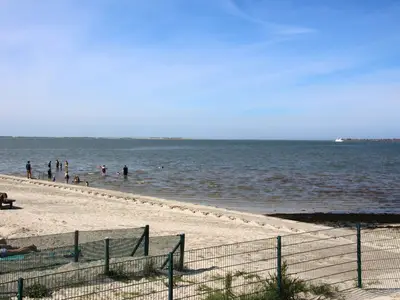 AreaSummer5KM