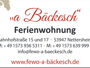 23682560-Ferienwohnung-6-Nettersheim-300x225-4