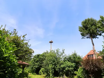 GardenSummer