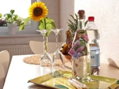 Ferienwohnung für 4 Personen (60 m²) in Neu Boltenhagen 3/10