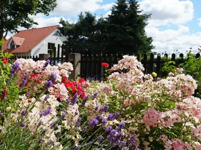 Ferienwohnung für 4 Personen (40 m²) in Neu Lindenberg 8/10