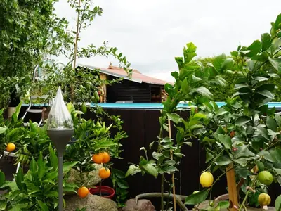 Ferienwohnung für 2 Personen (26 m²) in Neu Lindenberg 1/10