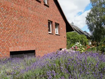 Ferienwohnung für 2 Personen (26 m²) in Neu Lindenberg 4/10