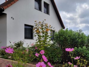 Ferienwohnung für 4 Personen (61 m²) in Neu Lüdershagen bei Stralsund