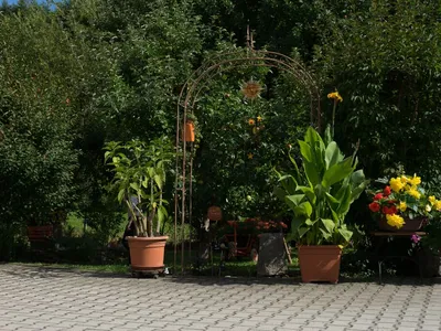 Eingangsbereich Garten