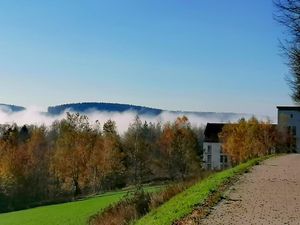 19259394-Ferienwohnung-1-Neualbenreuth-300x225-4