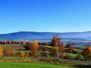 23179123-Ferienwohnung-2-Neualbenreuth-300x225-5