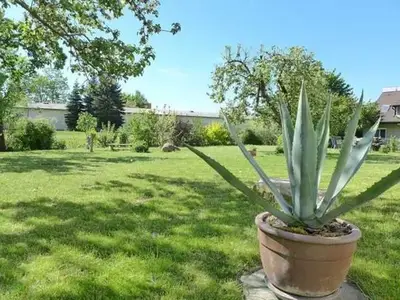 Ferienwohnung für 3 Personen (40 m²) in Neubrandenburg 5/10