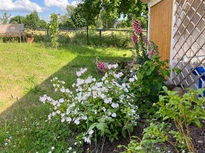 Ferienwohnung für 2 Personen (74 m²) in Neuburg (Nordwestmecklenburg) 8/10