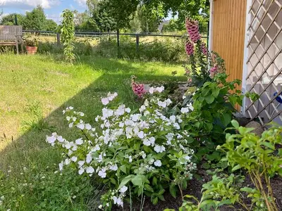 Ferienwohnung für 2 Personen (74 m²) in Neuburg 8/10