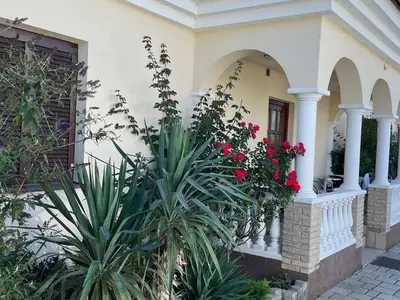 Ferienwohnung für 4 Personen (40 m²) in Neudörfl (Burgenland) 10/10