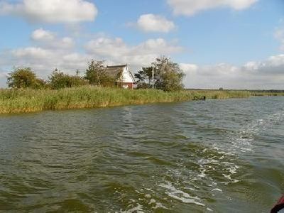 Bülten im Saaler Bodden