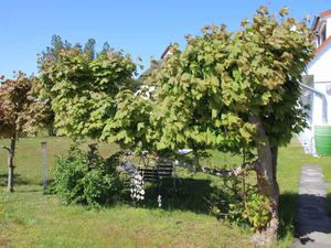 22597111-Ferienwohnung-4-Neuendorf (Insel Hiddensee)-300x225-3