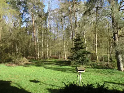 im Frühjahr