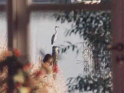 Ferienwohnung für 4 Personen (80 m²) in Neuenkirchen (Rügen) 6/10