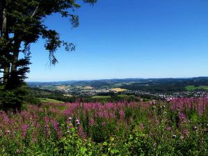 18701358-Ferienwohnung-4-Neuenrade-300x225-3