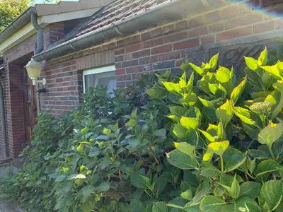 Ferienwohnung für 6 Personen (60 m²) in Neuharlingersiel 2/10