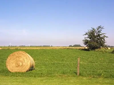 Ferienwohnung für 4 Personen (50 m²) in Neuharlingersiel 4/10