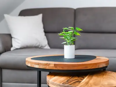 Ferienwohnung für 4 Personen (50 m²) in Neuharlingersiel 8/10