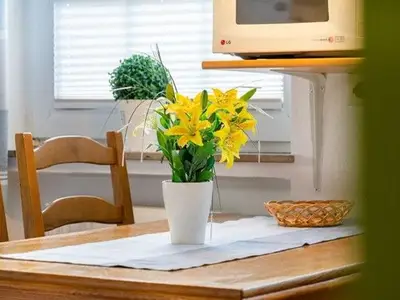 Ferienwohnung für 4 Personen (55 m²) in Neuharlingersiel 8/10