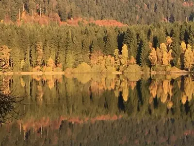 Am Stausee Scheibe-Alsbach