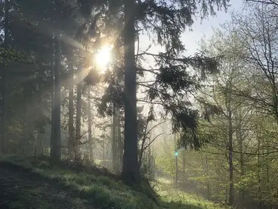 Ferienwohnung für 2 Personen (47 m²) in Neuhausen/Erzgebirge 9/10