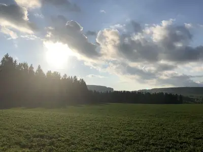 Ferienwohnung für 2 Personen (47 m²) in Neuhausen/Erzgebirge 10/10