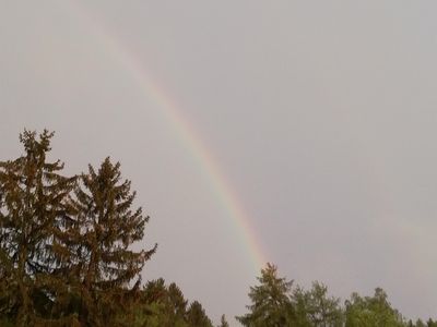 FeWo Wildkatze, Neuh., Regenbogen in Neuhütten