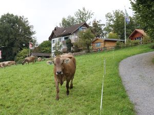 Ferienwohnung für 3 Personen (40 m&sup2;) in Neukirch (Egnach)