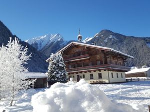 24017958-Ferienwohnung-7-Neukirchen am Großvenediger-300x225-0