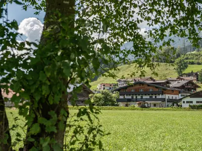 Gästehaus Dreier Sommer1