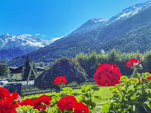 Ferienwohnung für 19 Personen (125 m²) in Neukirchen am Großvenediger