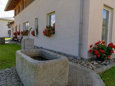 Brunnen