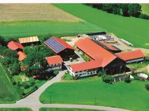 Ferienwohnung für 4 Personen (70 m²) in Neukirchen